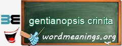 WordMeaning blackboard for gentianopsis crinita